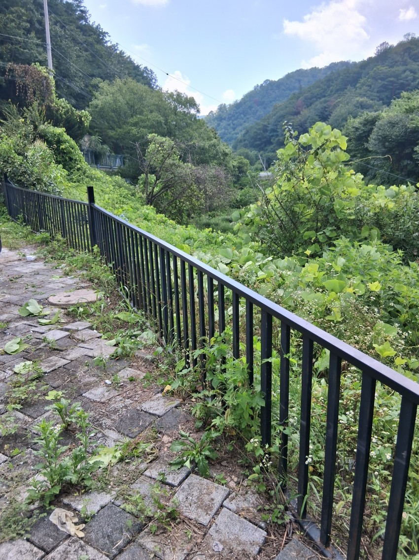성주군 수륜면 주택