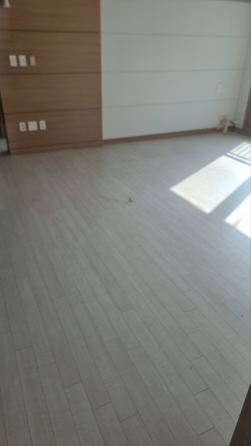 월성월드메르디앙
