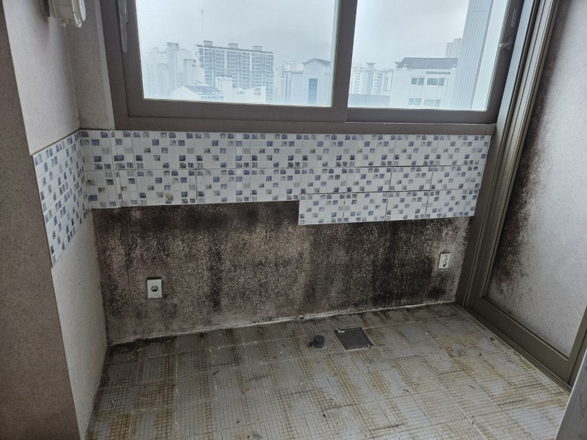 대구 달서구 조암남로16길 19 (월성동, 월성코오롱하늘채아파트 1단지)