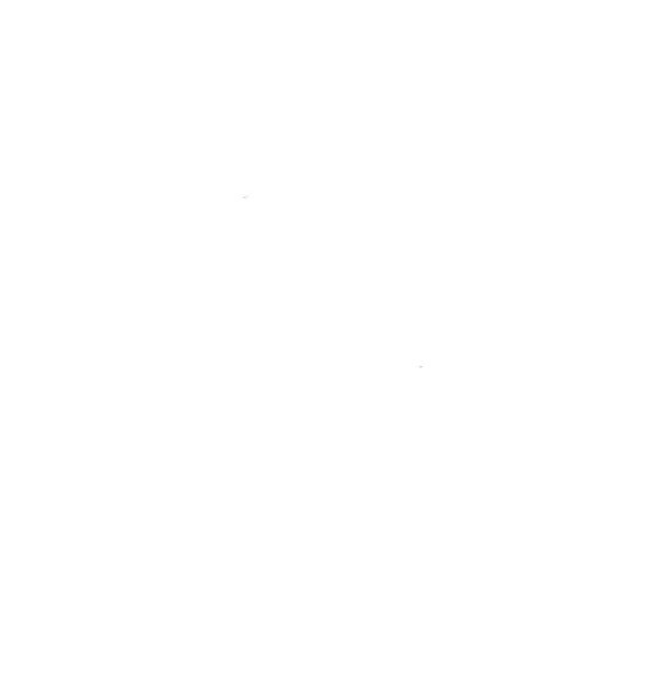 RSH01
