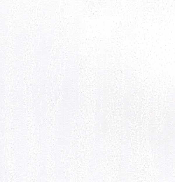 RSP01