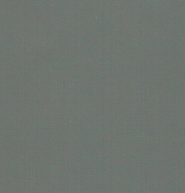 RSCJ1